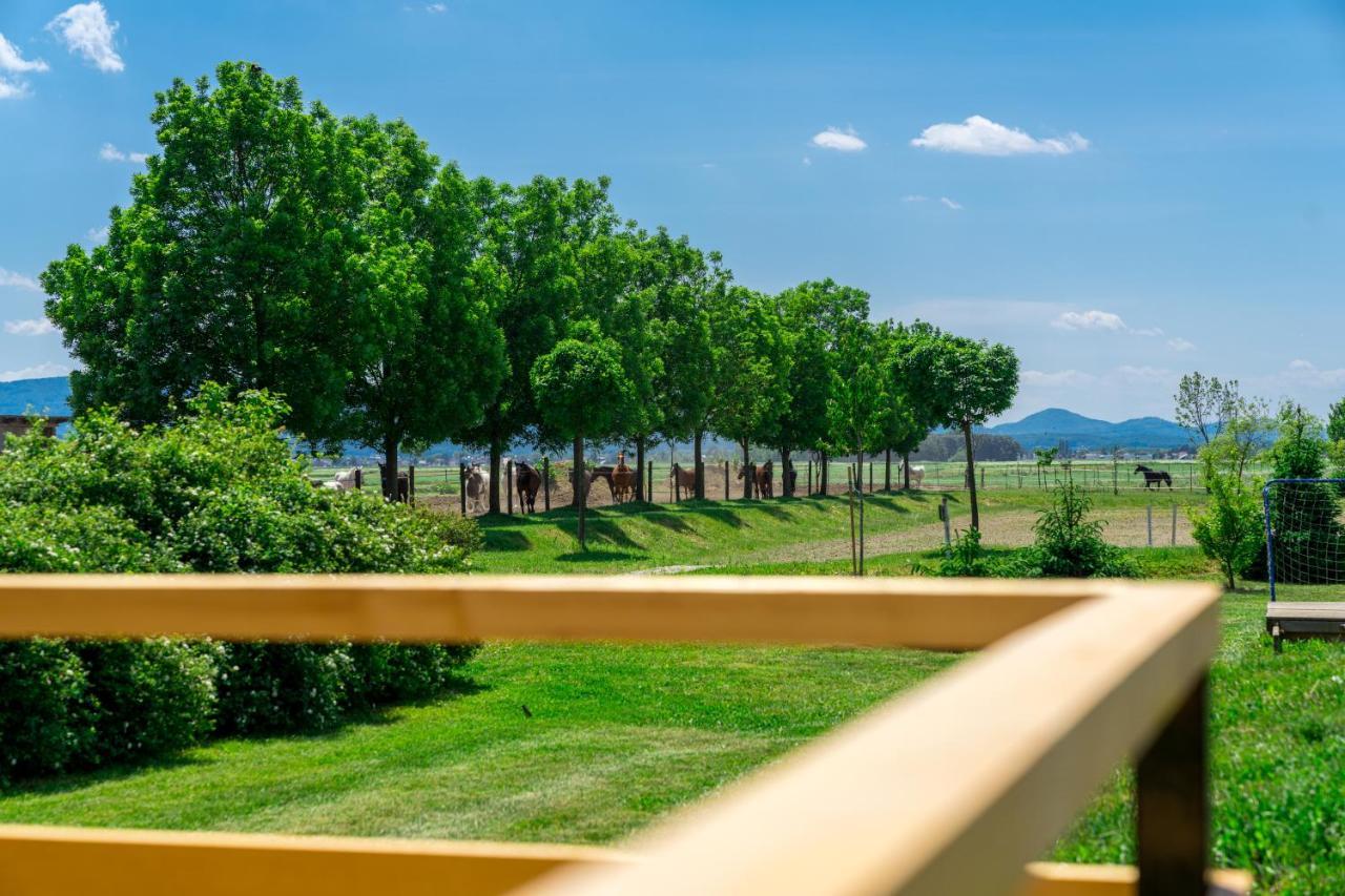 Horse Glamping Park Hotel Cirkovce Bagian luar foto