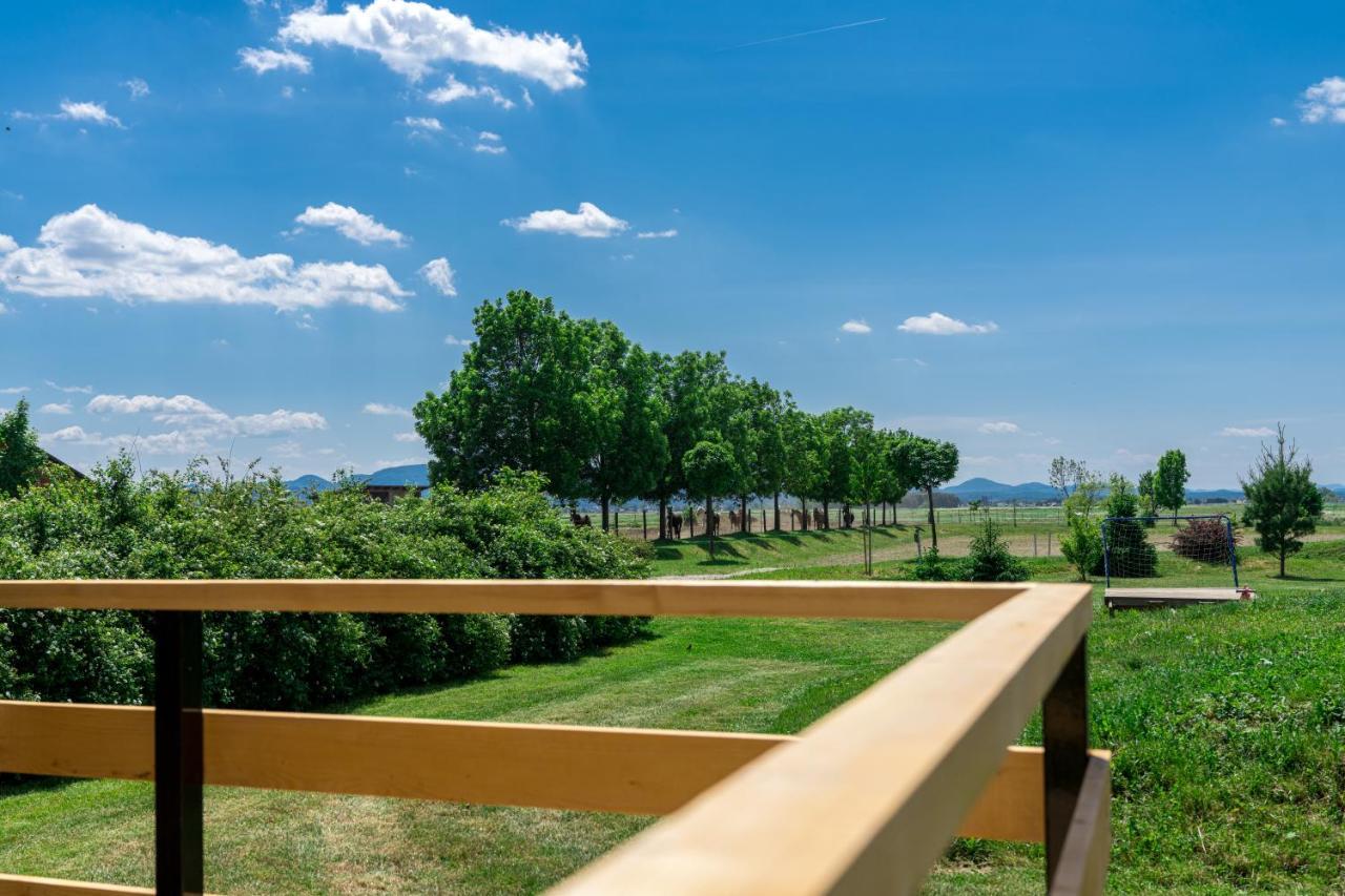 Horse Glamping Park Hotel Cirkovce Bagian luar foto